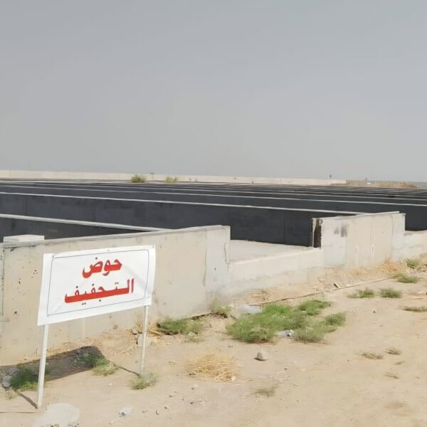 2025 08 20 12289854087 2154292991566620 600x600